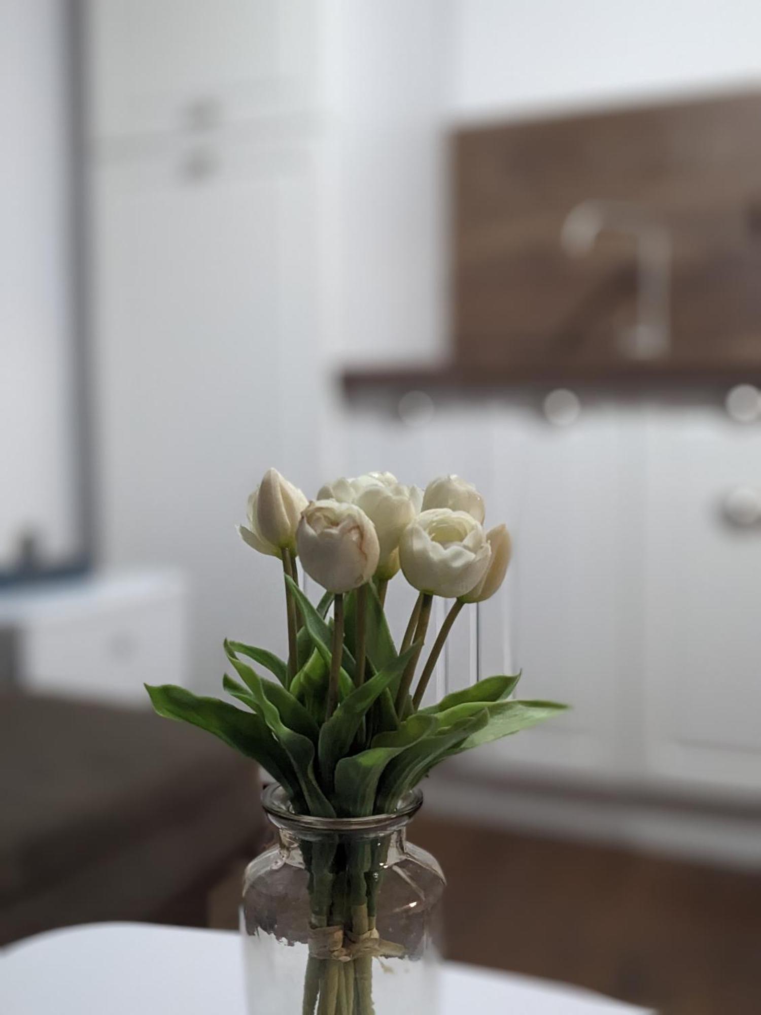 Honey I'M Home Apartments Βελίκο Τίρνοβο Εξωτερικό φωτογραφία